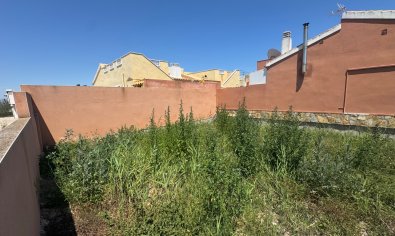 Perceel - Bestaande bouw - Daya Nueva -
                Daya Nueva