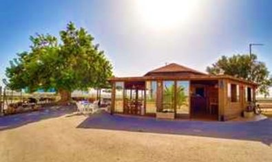 Perceel - Bestaande bouw - Torre-Pacheco -
                Torre Pacheco