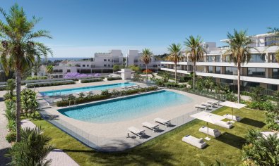 Piso - Planta baja - Obra nueva - Estepona -
                Estepona