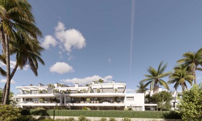 Piso - Planta baja - Obra nueva - Estepona -
                Estepona