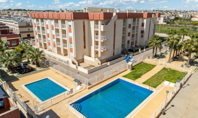 Piso - Planta baja - Obra nueva - Orihuela Costa -
                Orihuela Costa