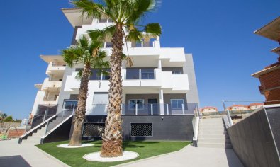 Piso - Planta baja - Obra nueva - Orihuela -
                Orihuela