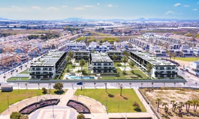 Piso - Planta baja - Obra nueva - Pilar de la Horadada -
                Pilar de la Horadada