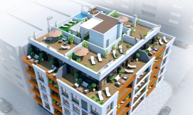 Piso - Planta baja - Obra nueva - Torrevieja -
                Torrevieja