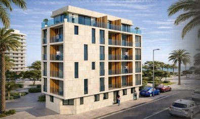 Piso - Planta baja - Obra nueva - Torrevieja -
                Torrevieja