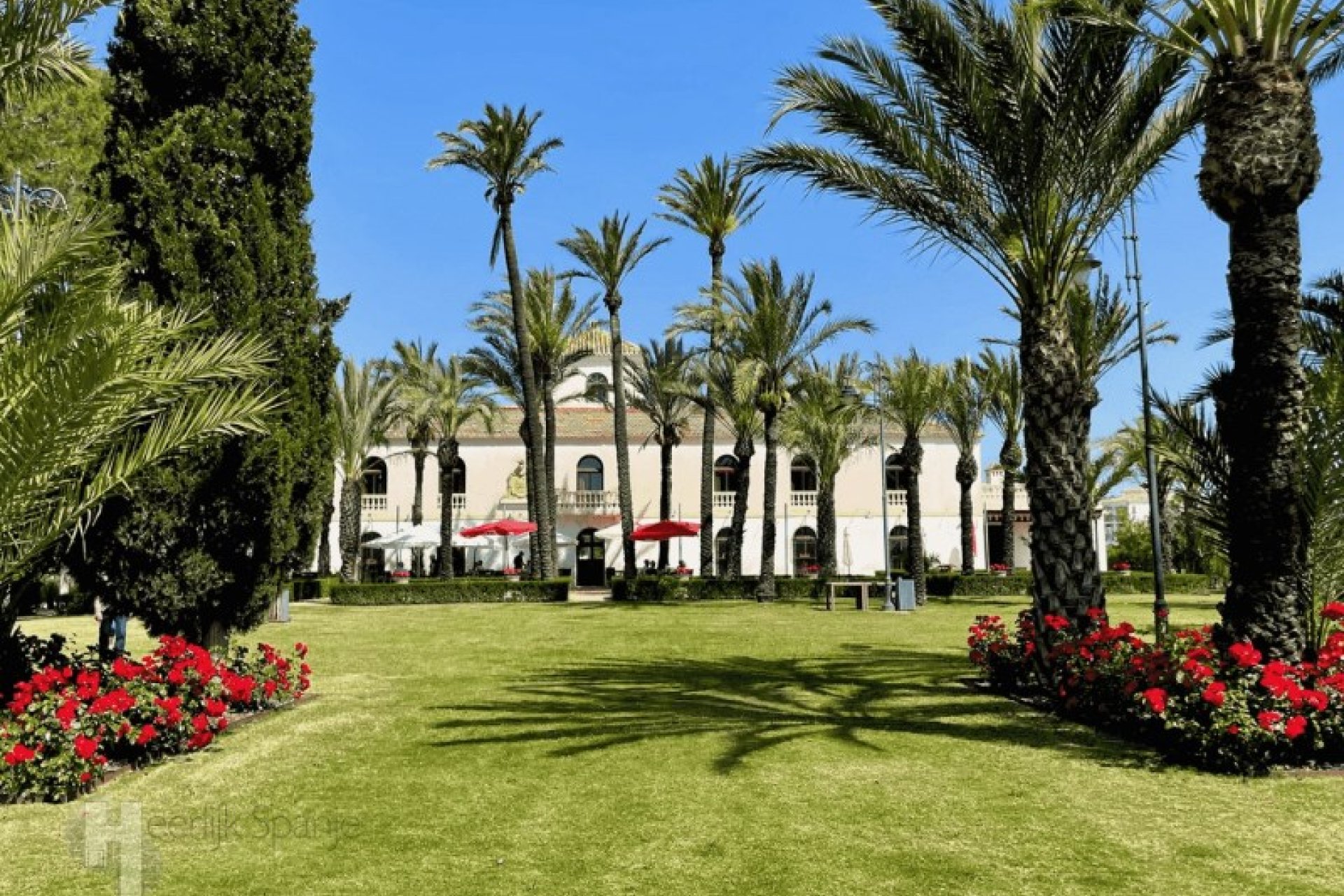 Resale - Apartment -
Murcia - Campo de Murcia