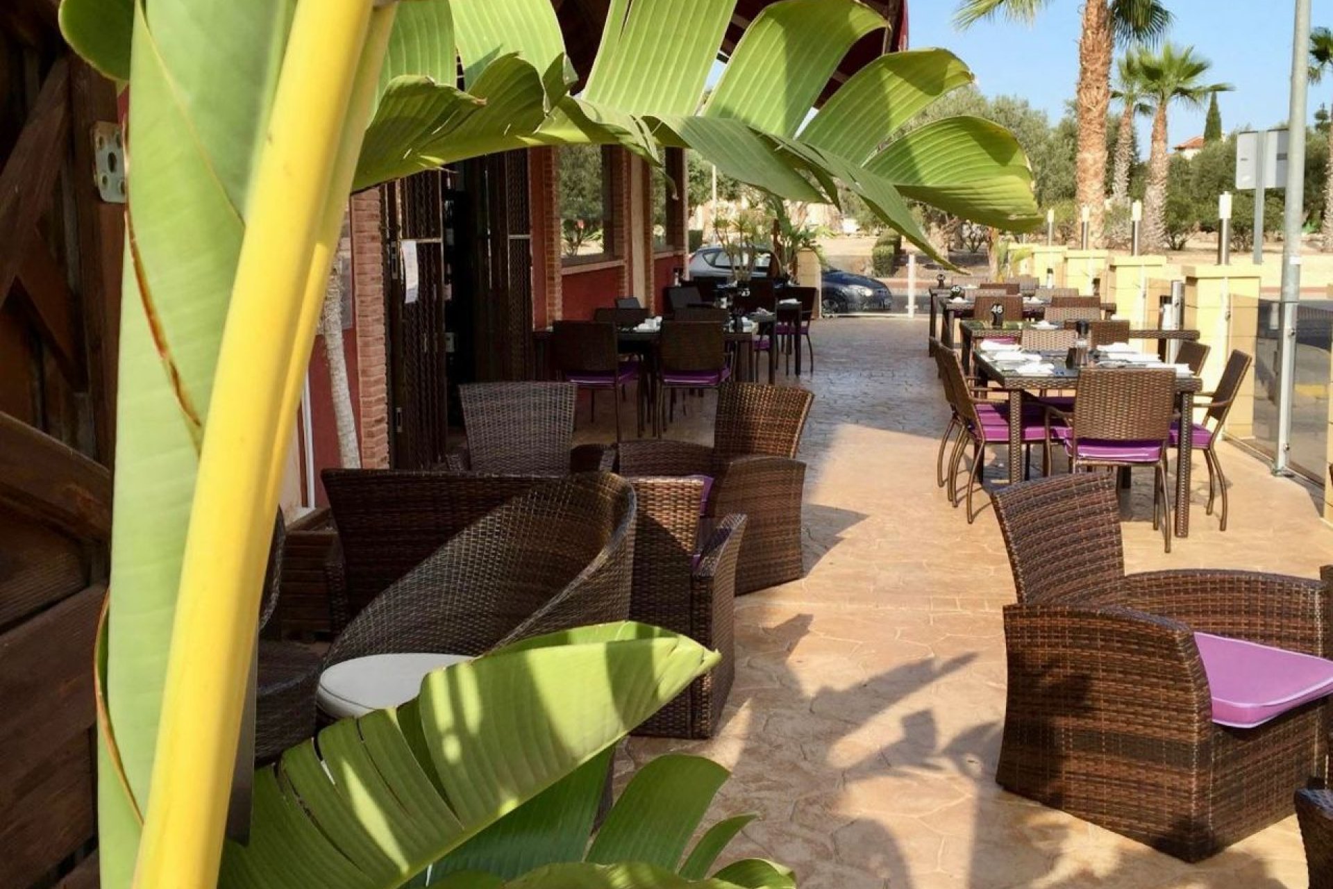 Resale - Commercial -
Guardamar del Segura - Guardamar