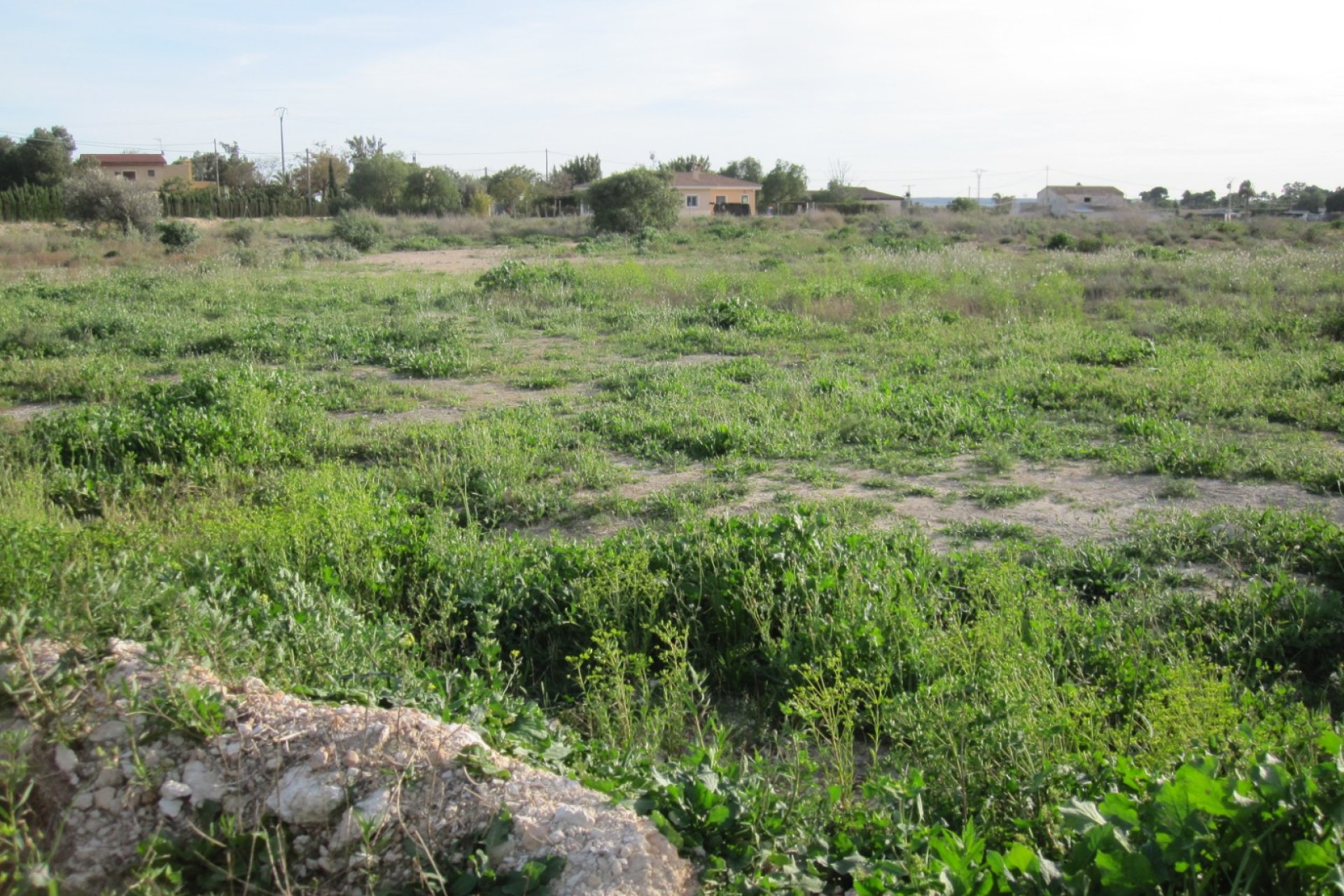 Resale - Estate -
Elche - Valverde
