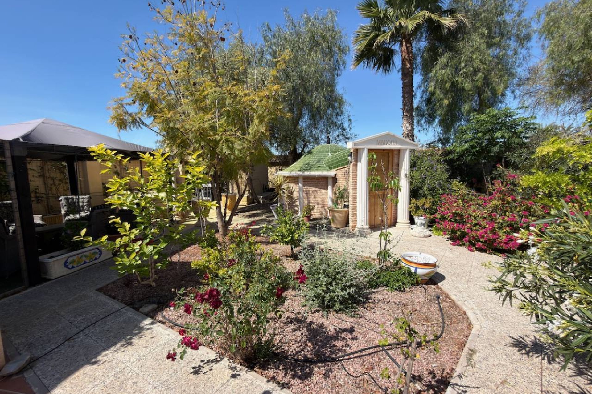 Resale - Finca -
Catral