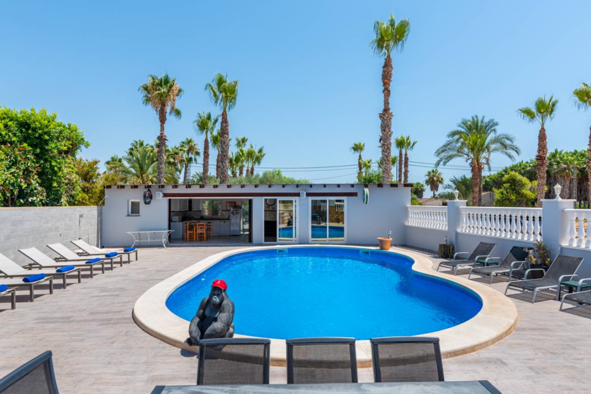 Resale - Finca -
Catral
