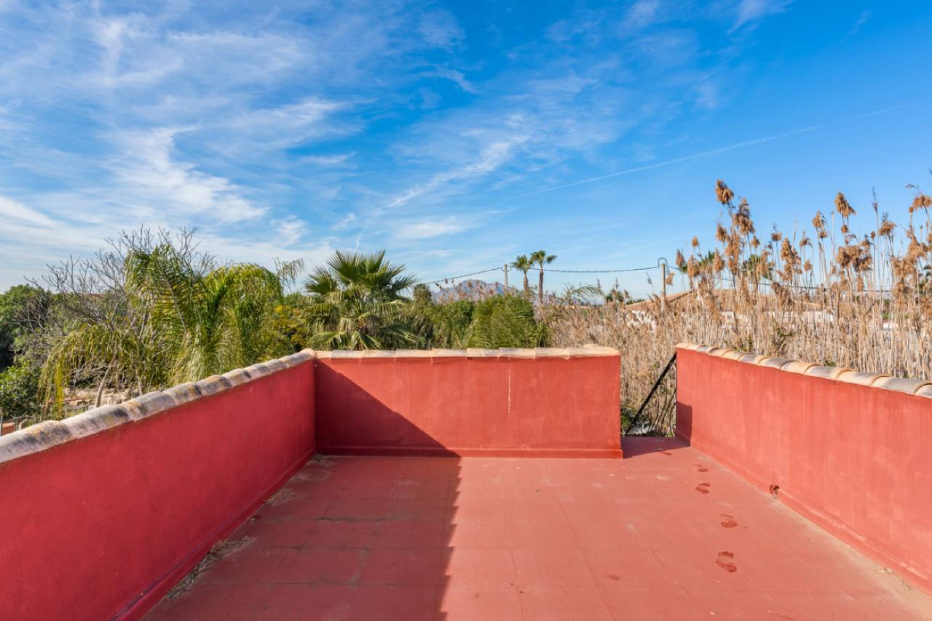 Resale - Finca -
Catral