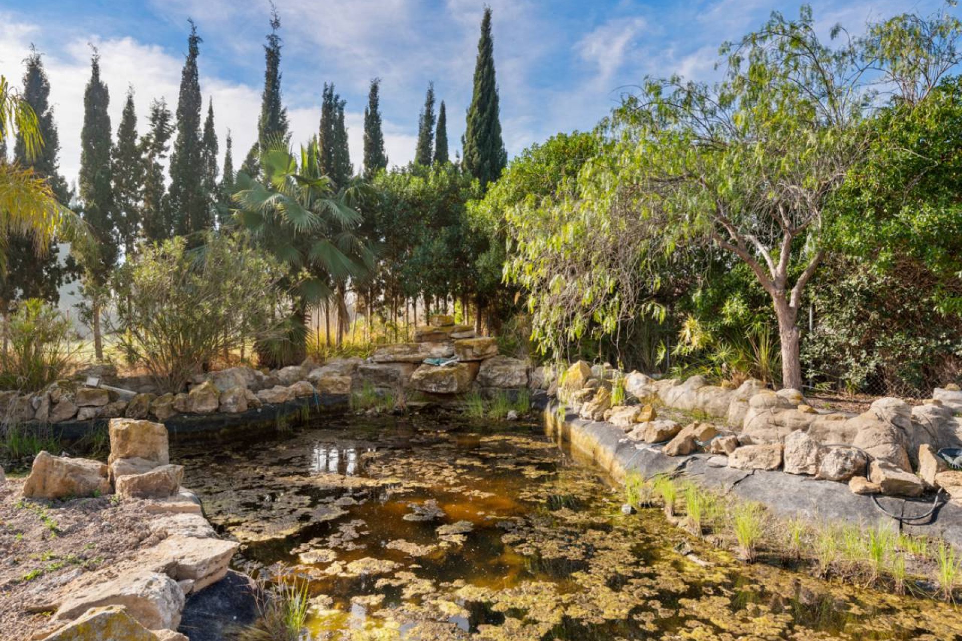 Resale - Finca -
Catral