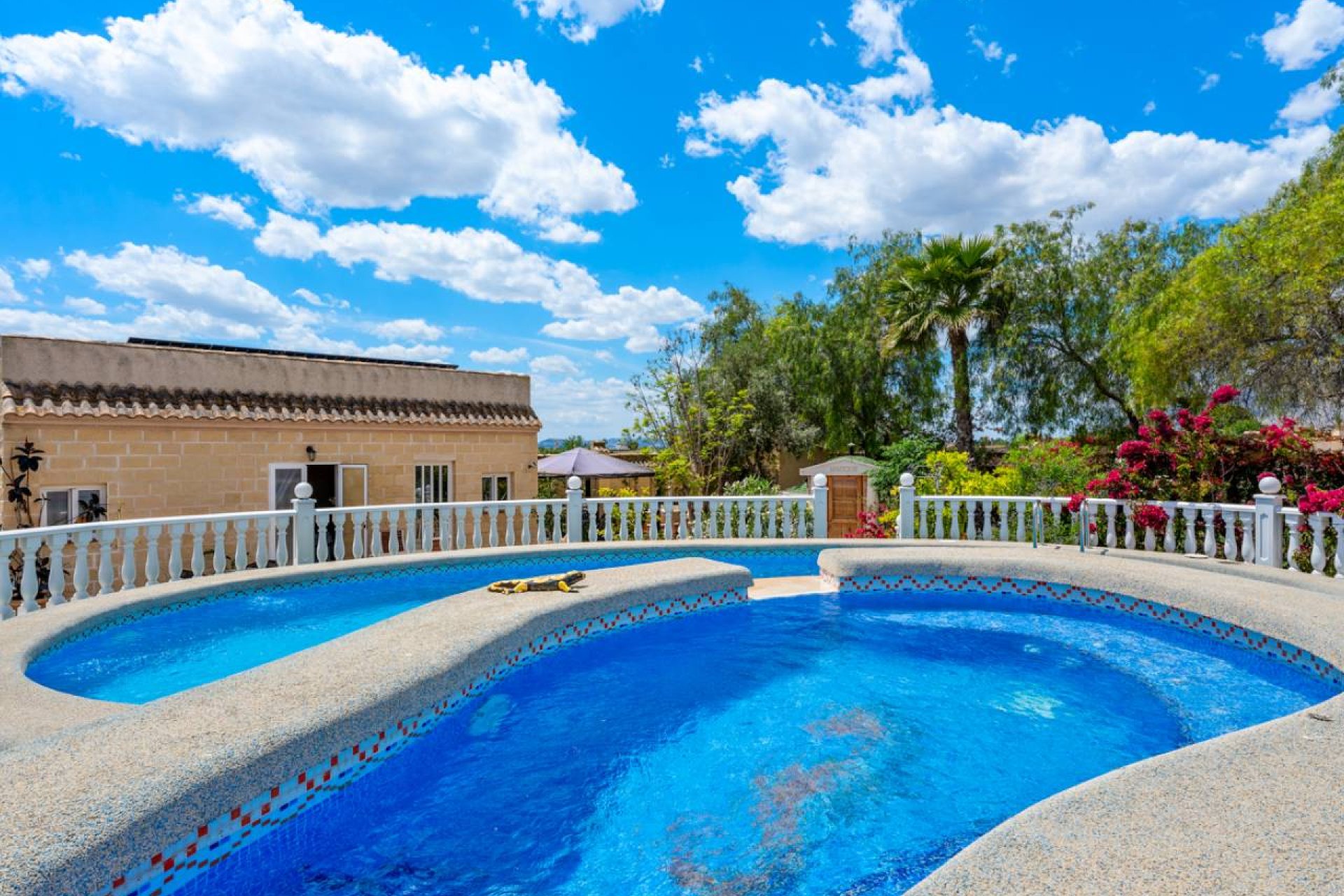 Resale - Finca -
Catral