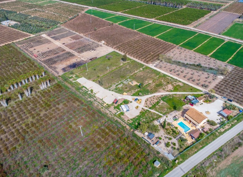 Resale - Finca -
Crevillente