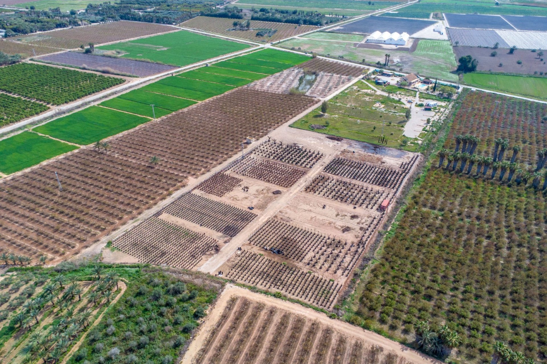 Resale - Finca -
Crevillente