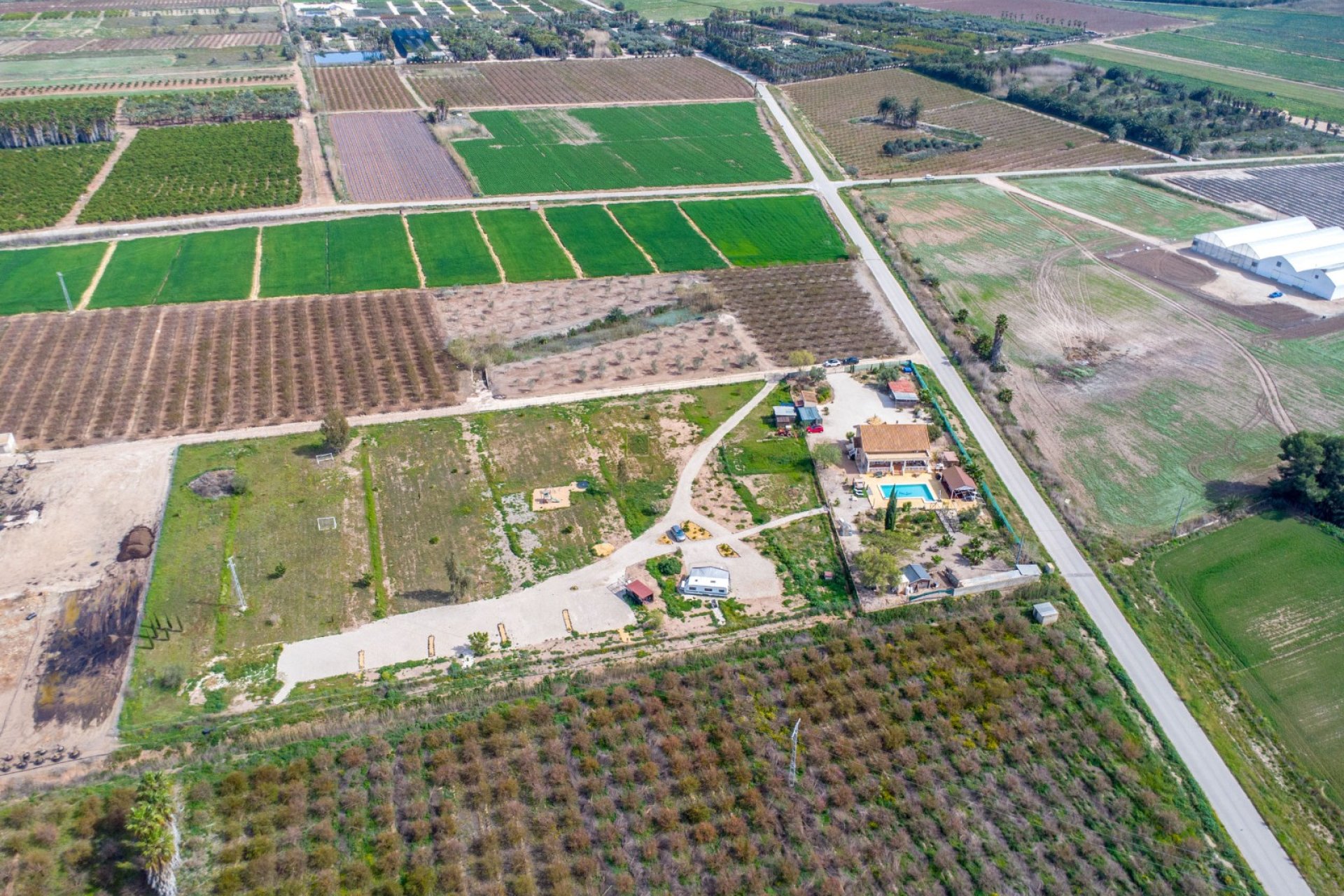 Resale - Finca -
Crevillente