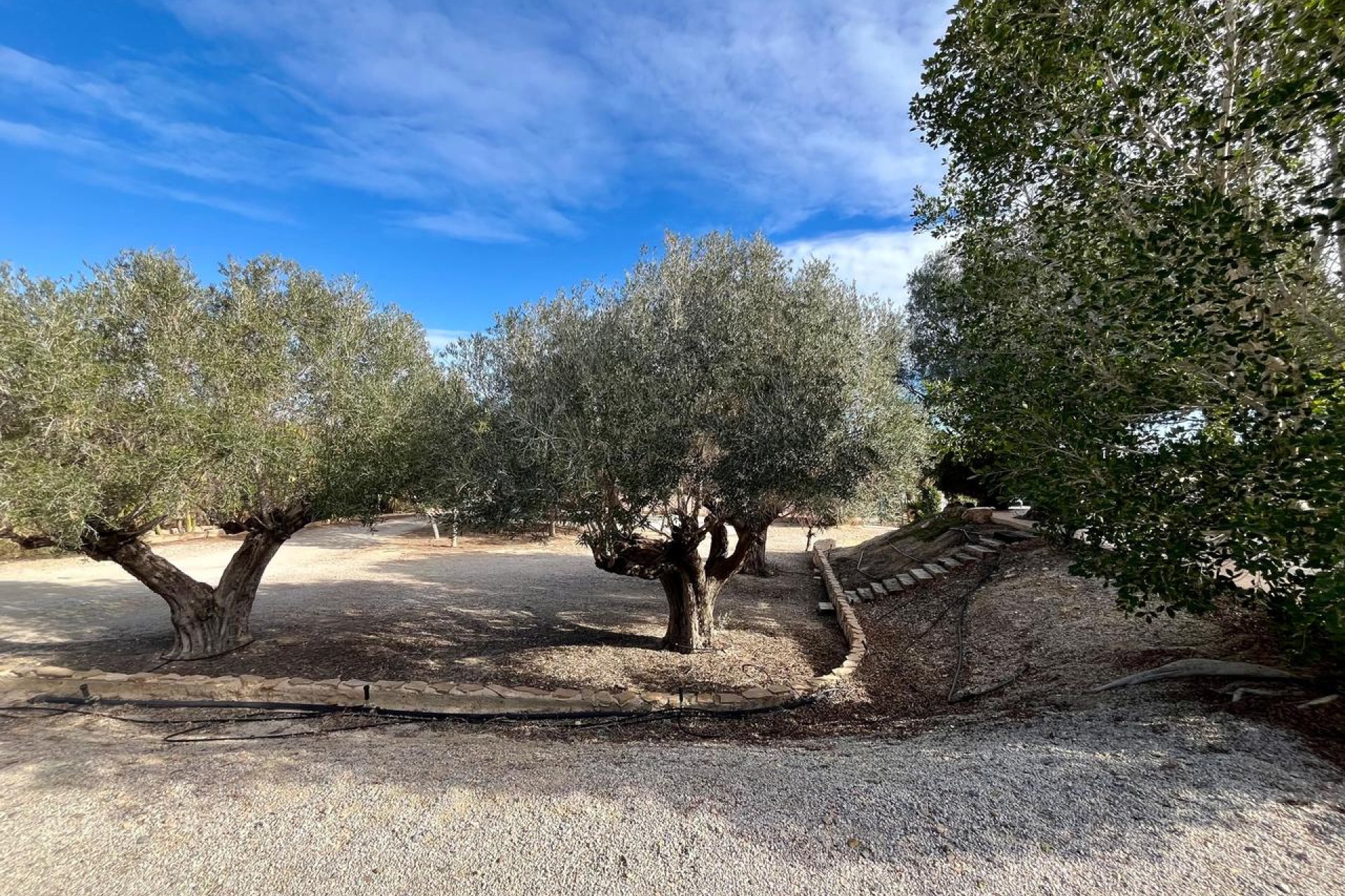 Resale - Finca -
El Esparragal