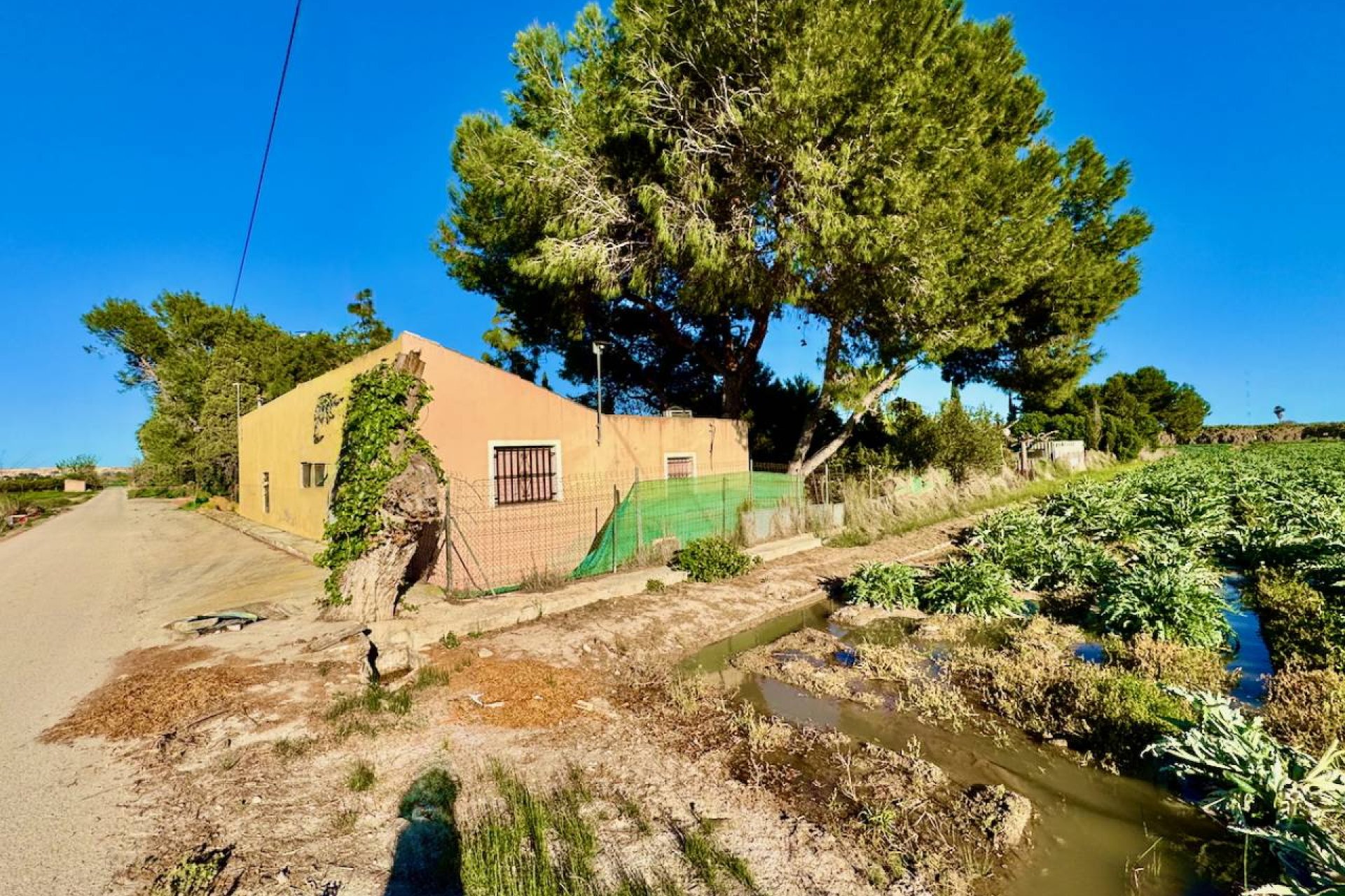 Resale - Finca -
Guardamar del Segura