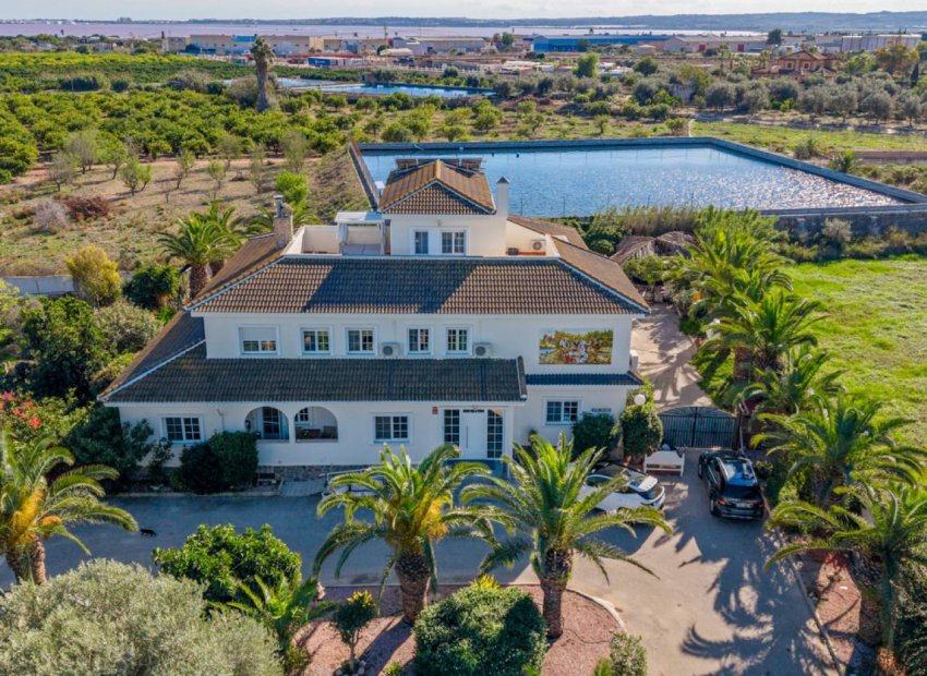 Resale - Finca -
Los Montesinos
