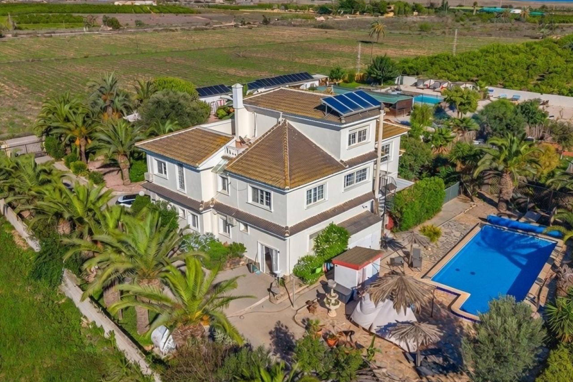 Resale - Finca -
Los Montesinos