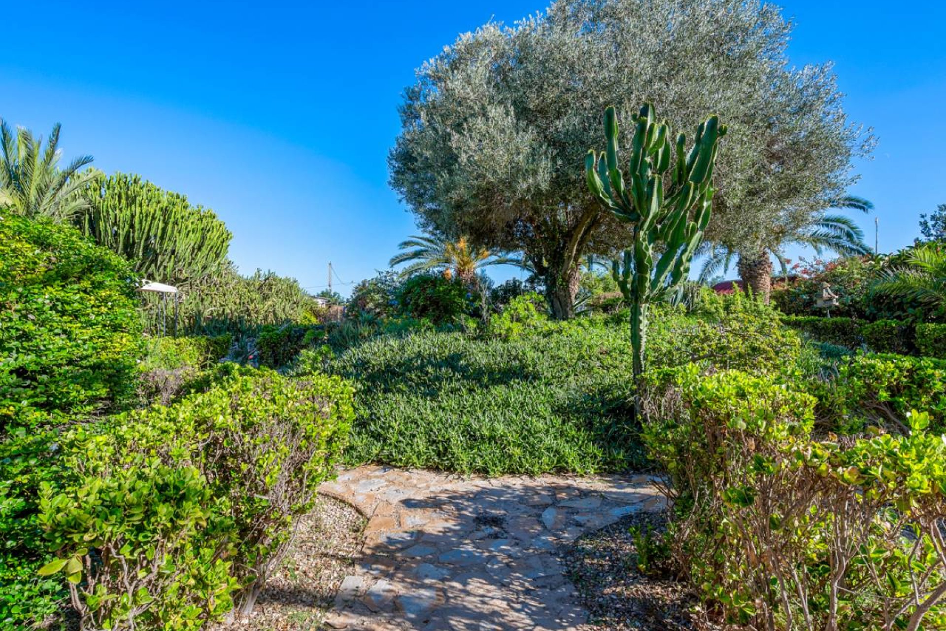 Resale - Finca -
Los Montesinos