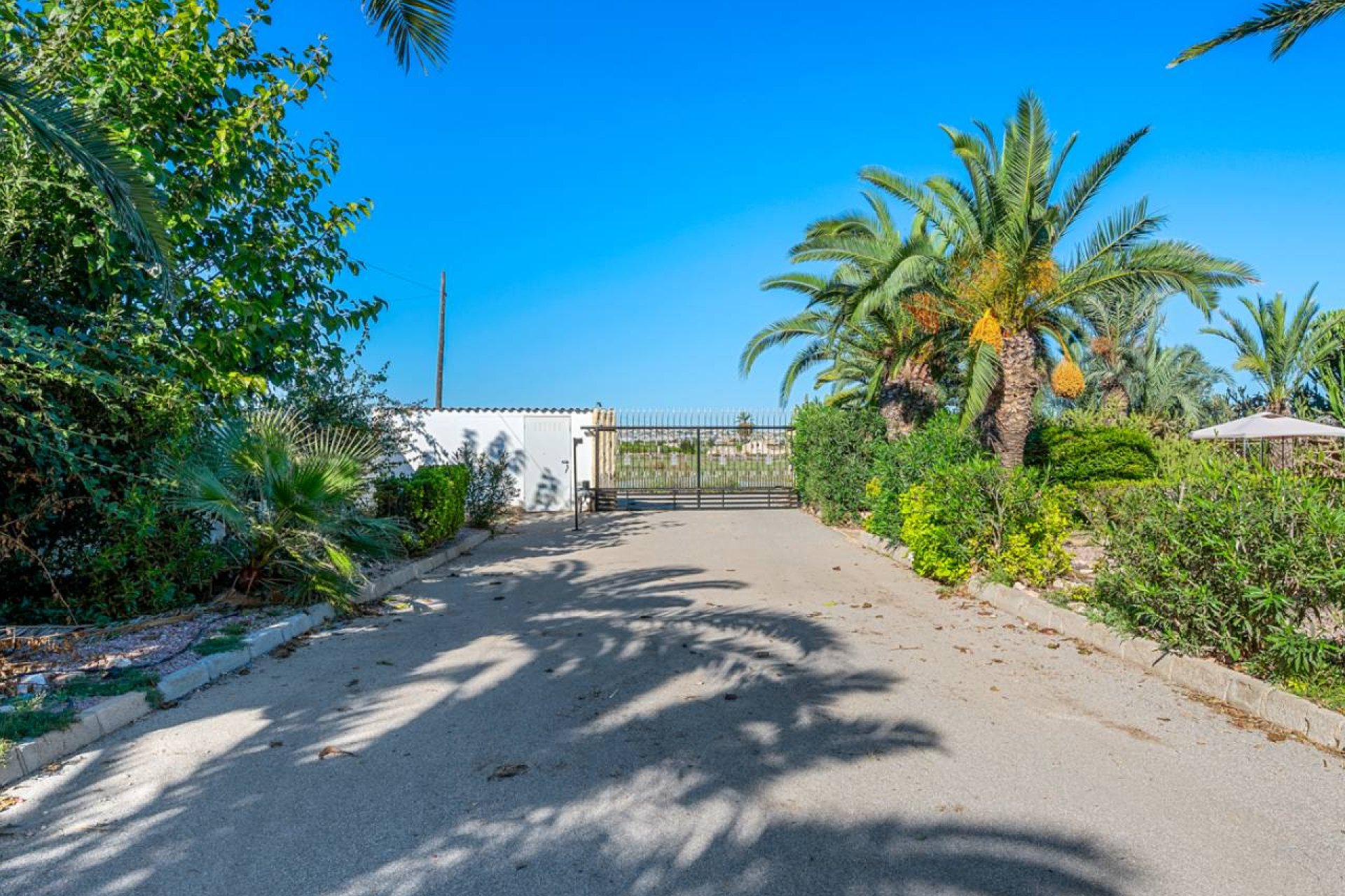Resale - Finca -
Los Montesinos