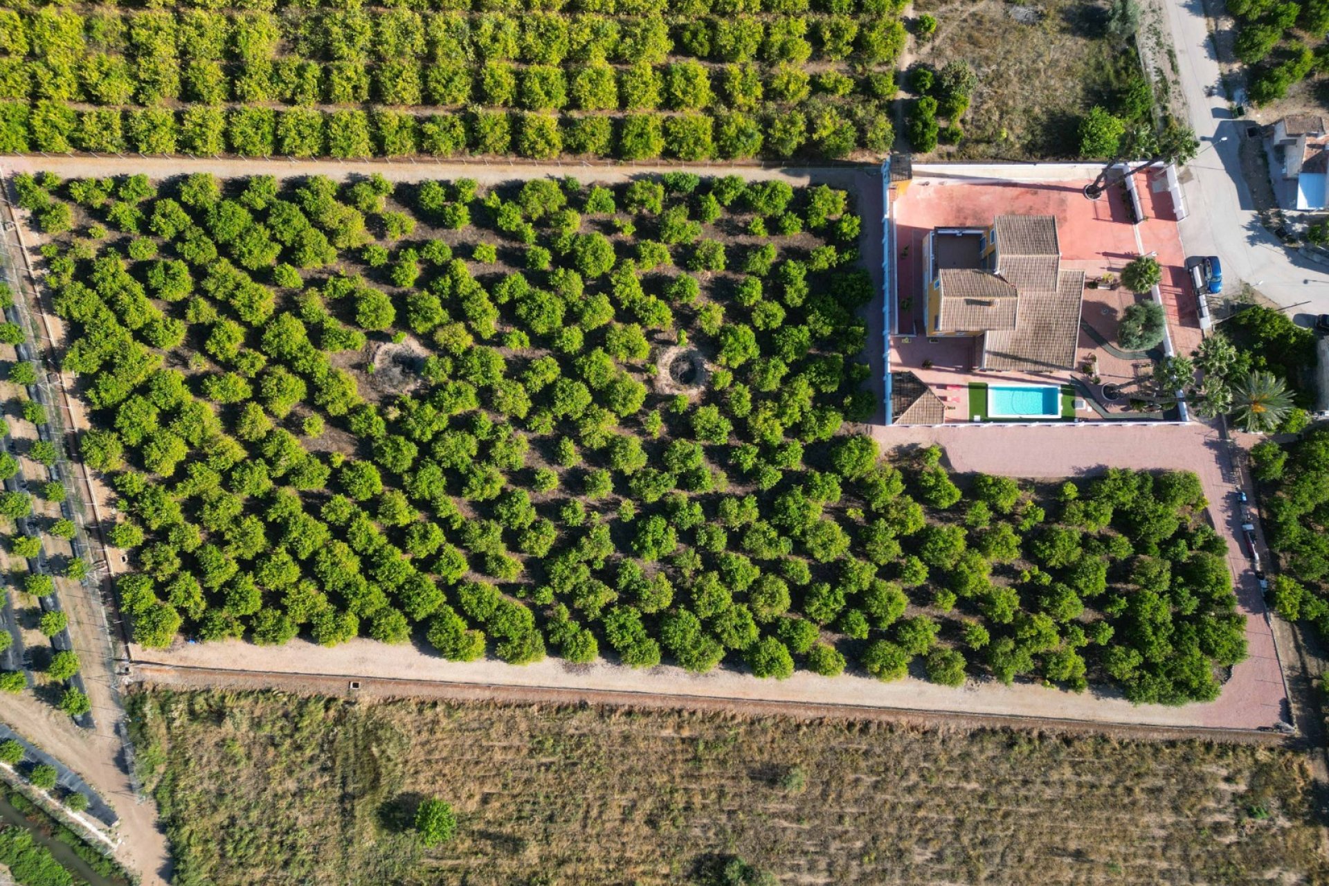 Resale - Finca -
Orihuela
