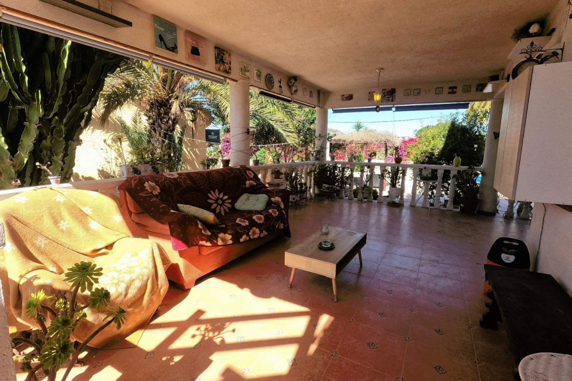 Resale - Finca -
Orihuela