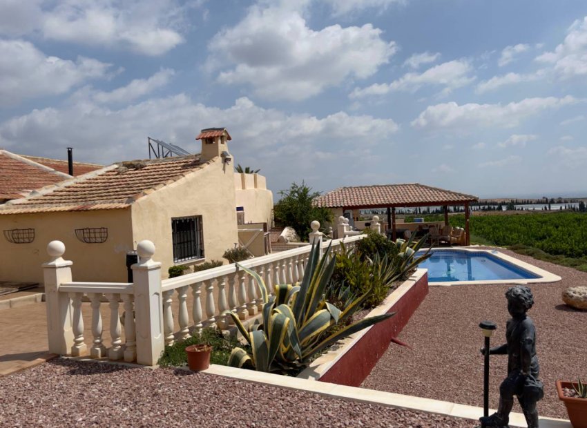 Resale - Finca -
Orihuela