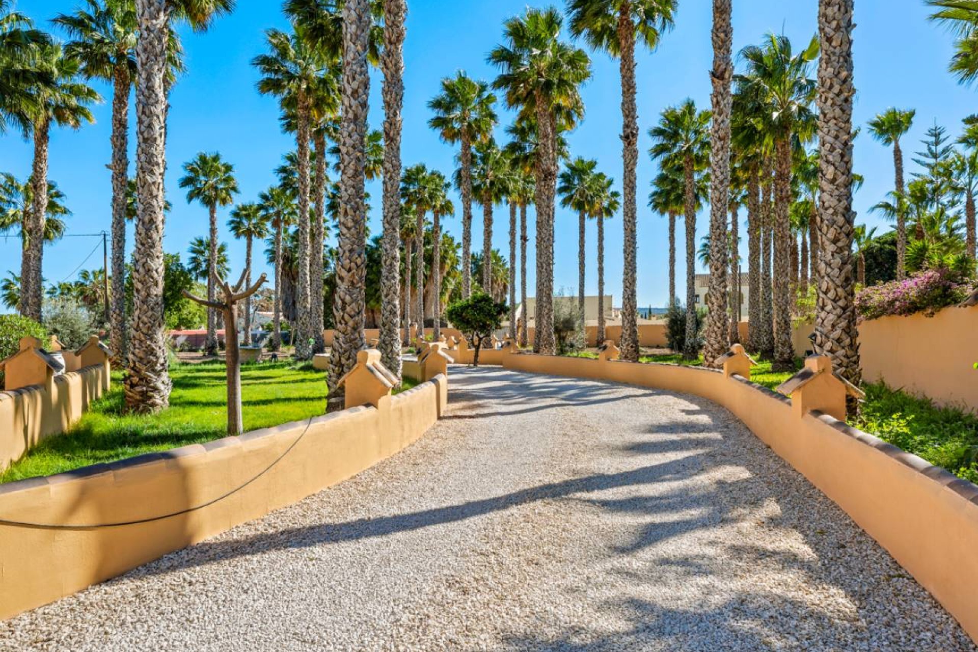 Resale - Finca -
Rafal