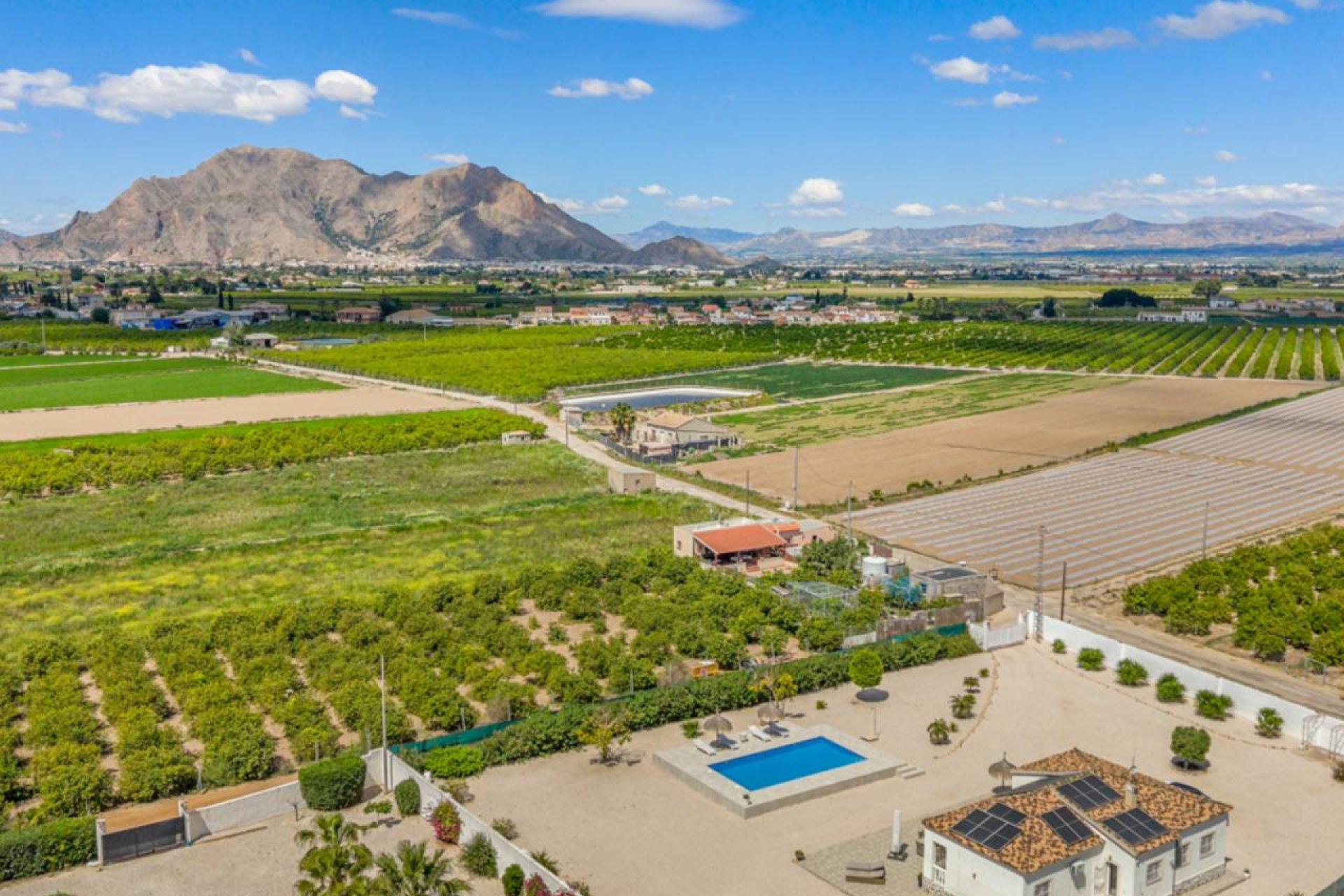 Resale - Finca -
Rafal