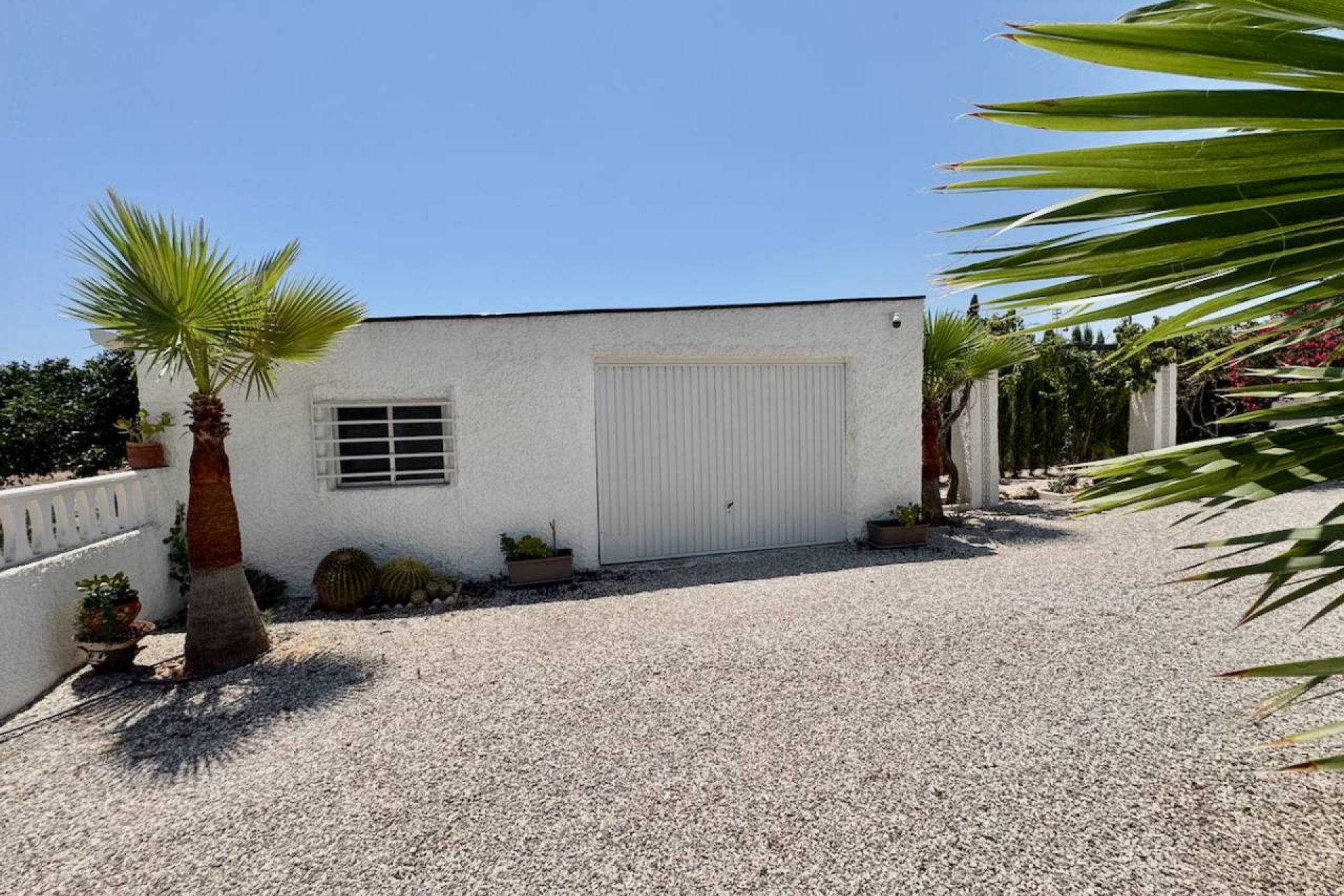 Resale - Finca -
Torrellano