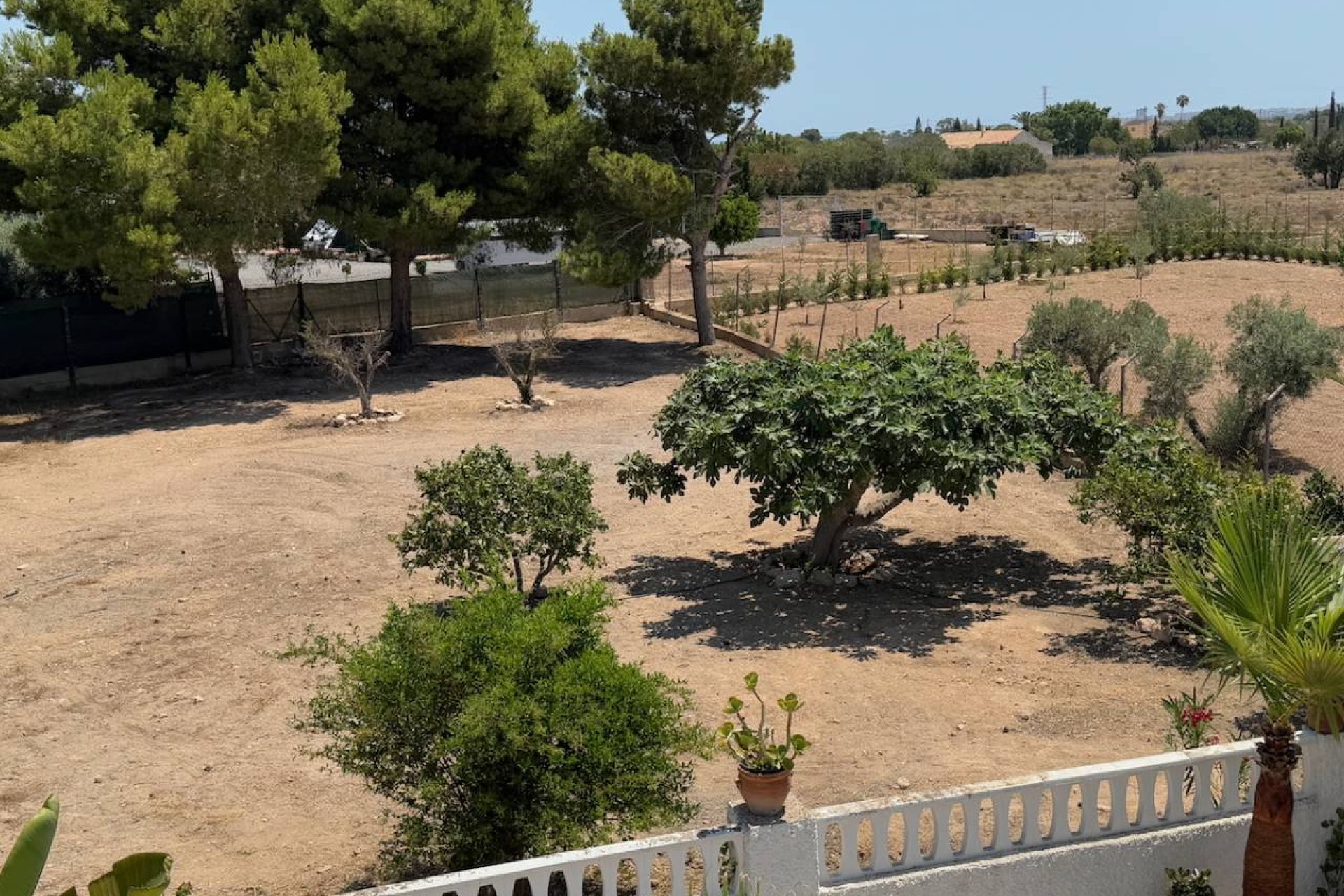 Resale - Finca -
Torrellano