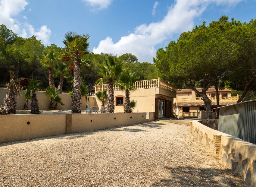 Resale - Finca -
Torremendo