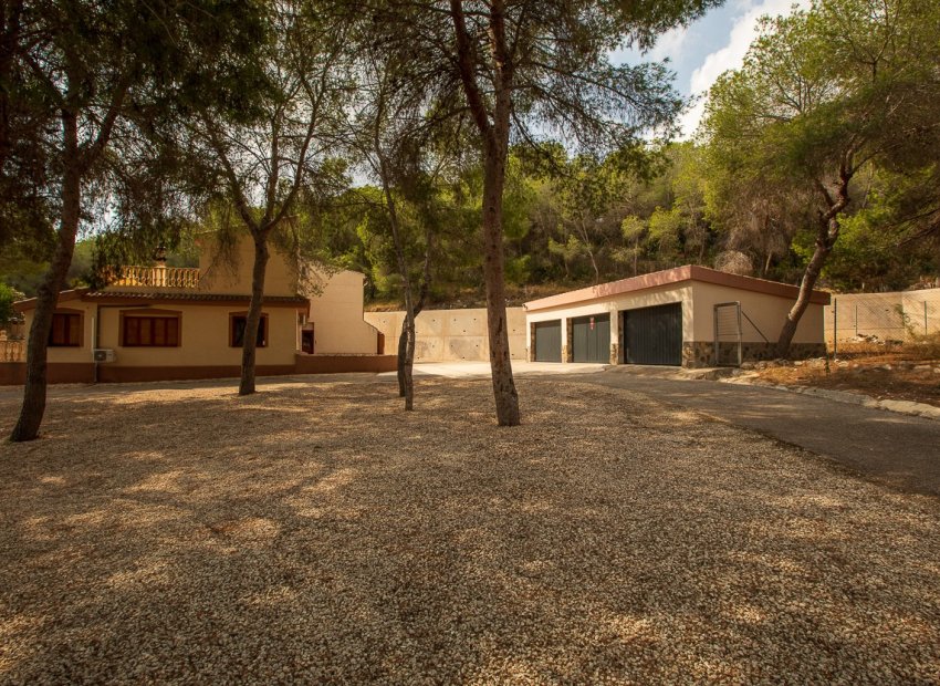 Resale - Finca -
Torremendo
