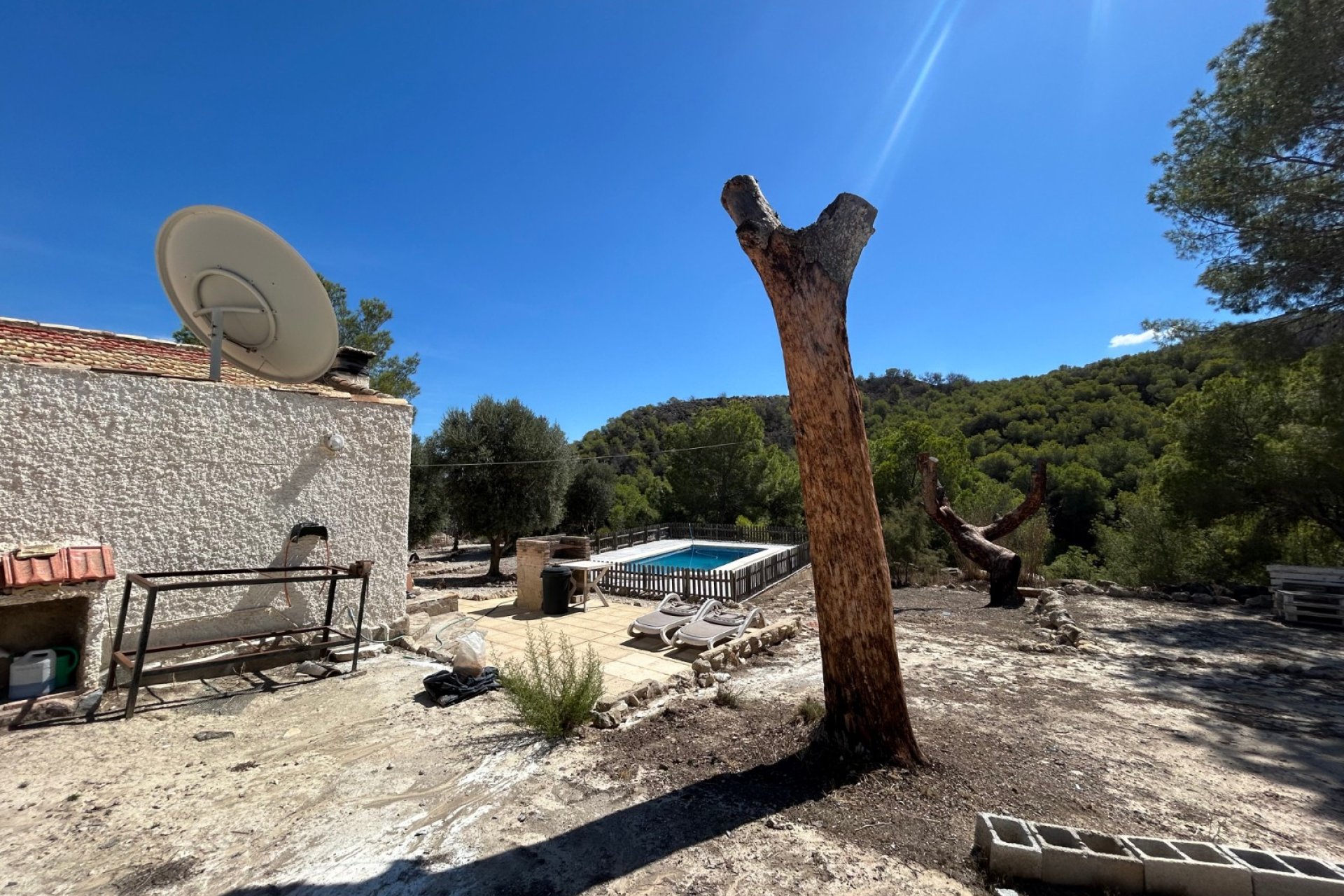 Resale - Finca -
Torremendo