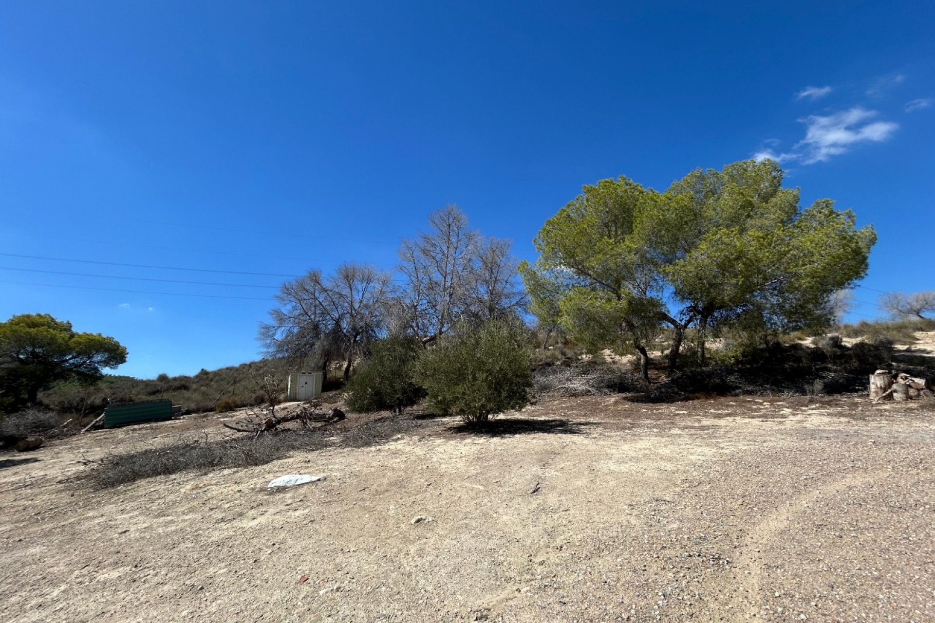 Resale - Finca -
Torremendo