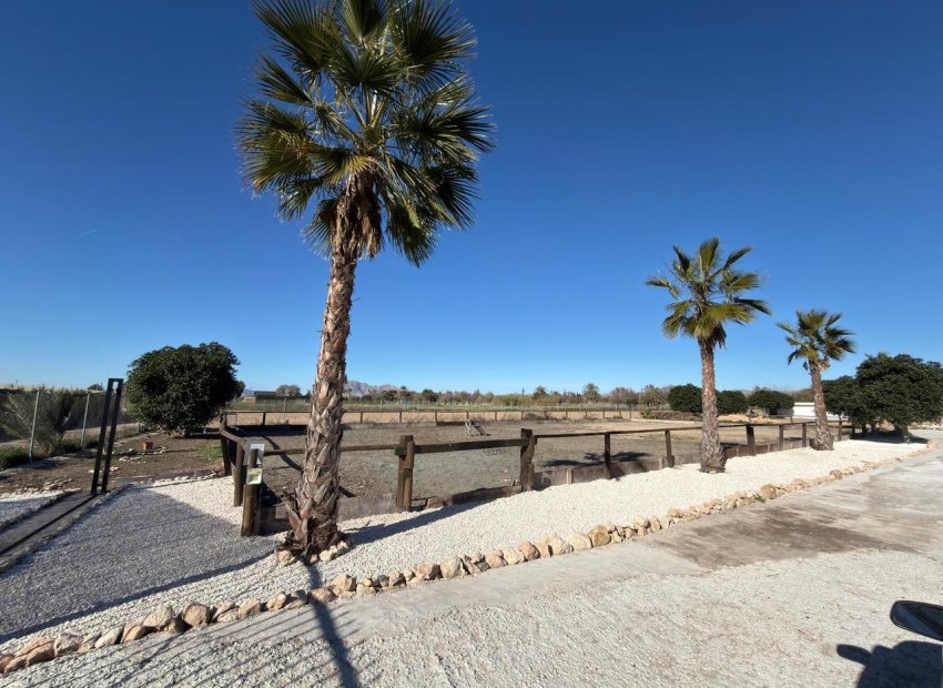 Resale - Land -
Algorfa