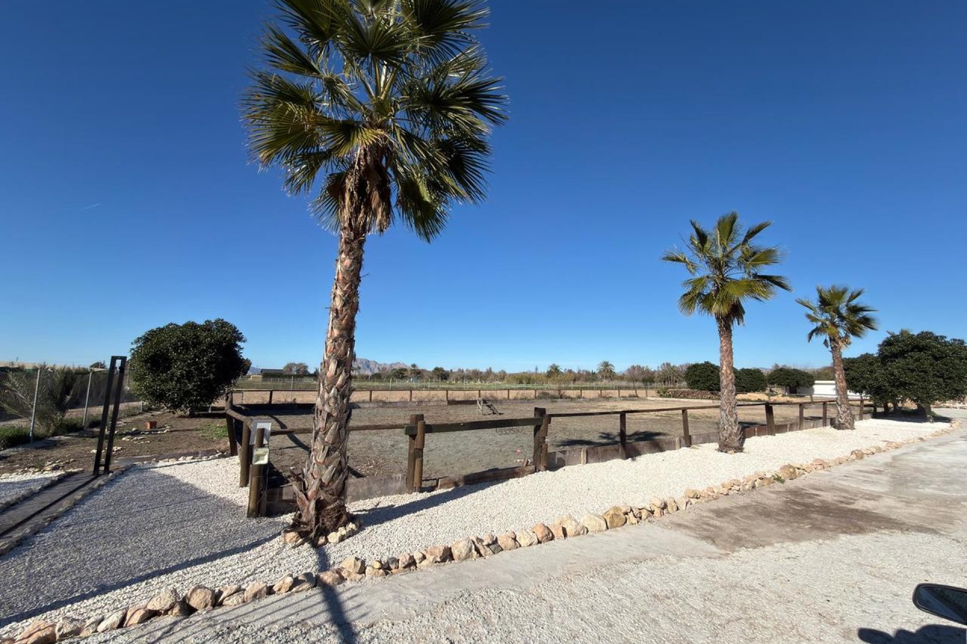 Resale - Land -
Algorfa