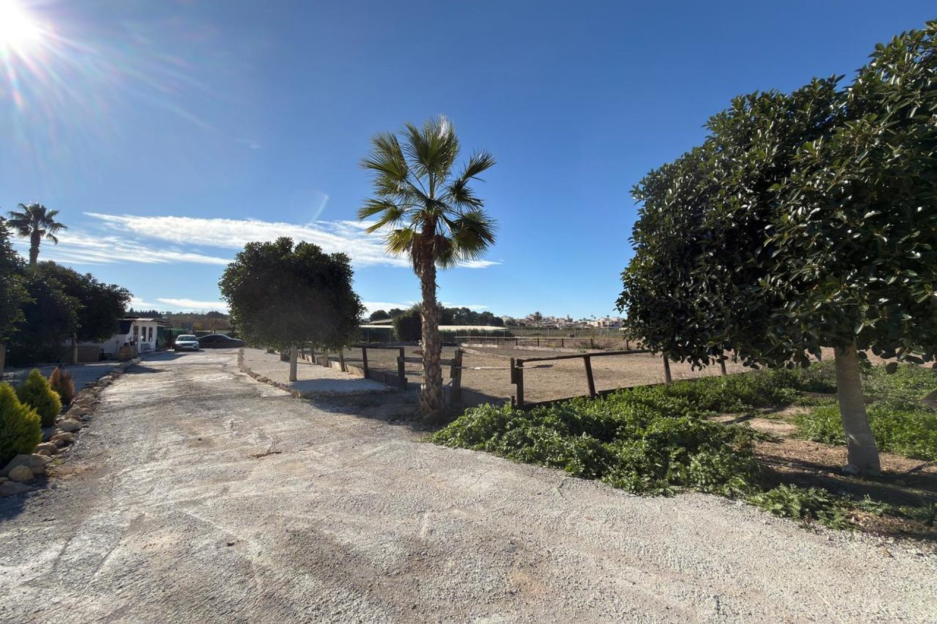 Resale - Land -
Algorfa