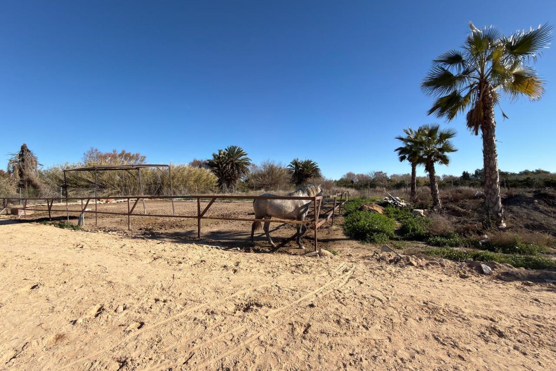 Resale - Land -
Algorfa