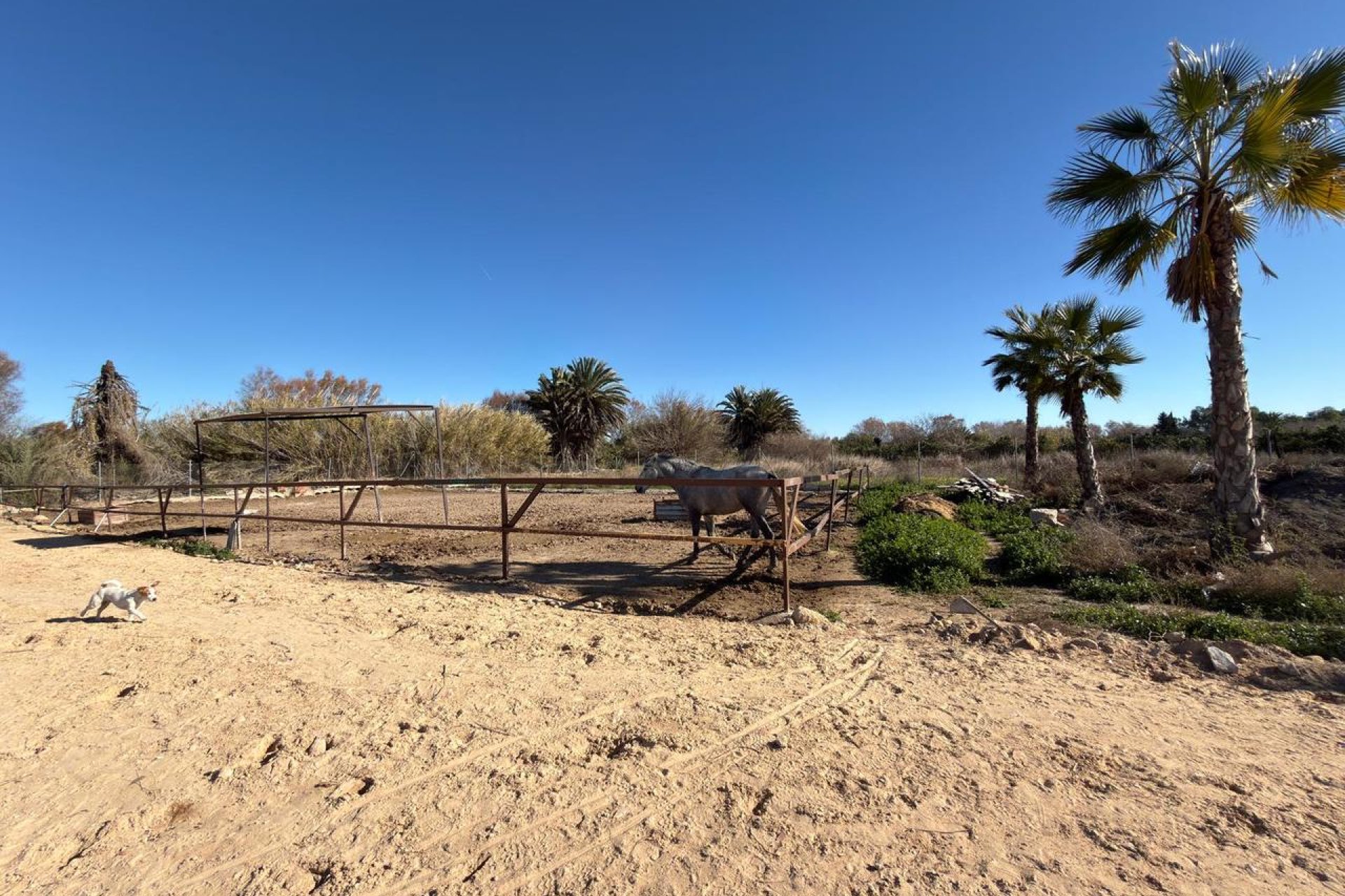 Resale - Land -
Algorfa