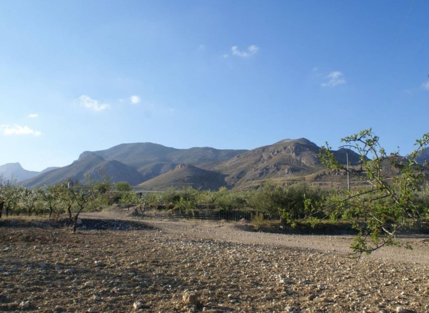Resale - Land -
Murcia