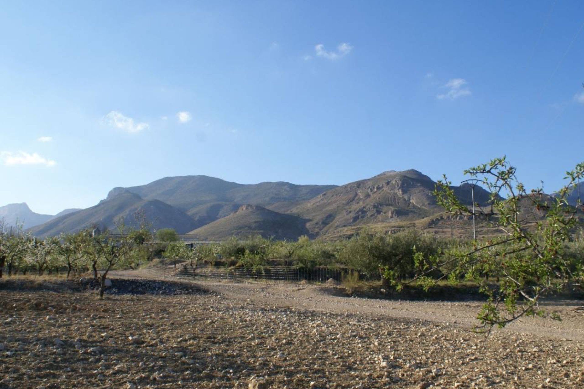 Resale - Land -
Murcia