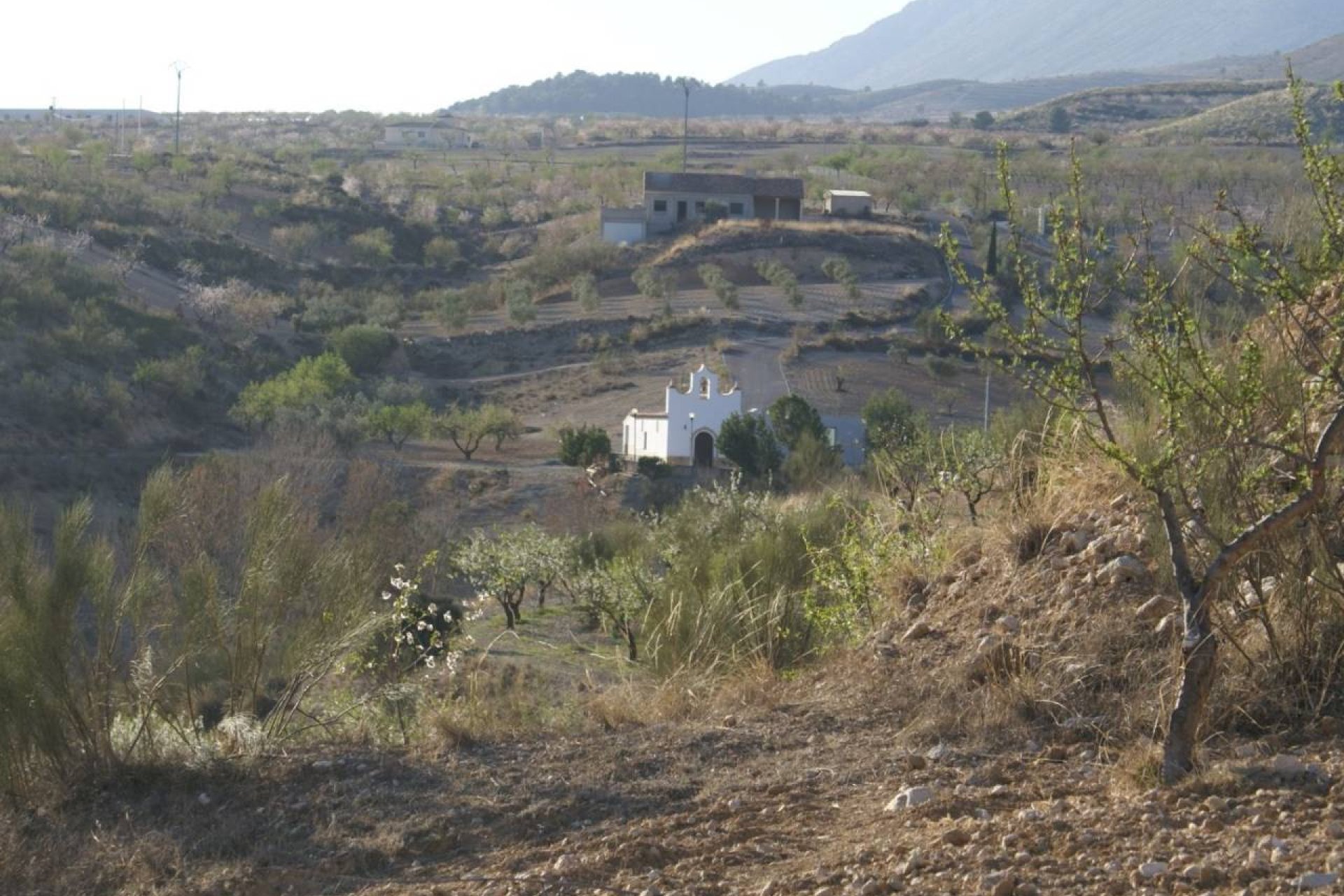 Resale - Land -
Murcia