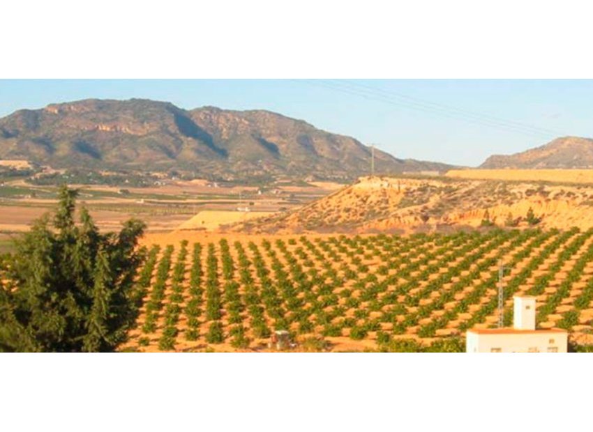 Resale - Land -
Torre-Pacheco - Torre Pacheco