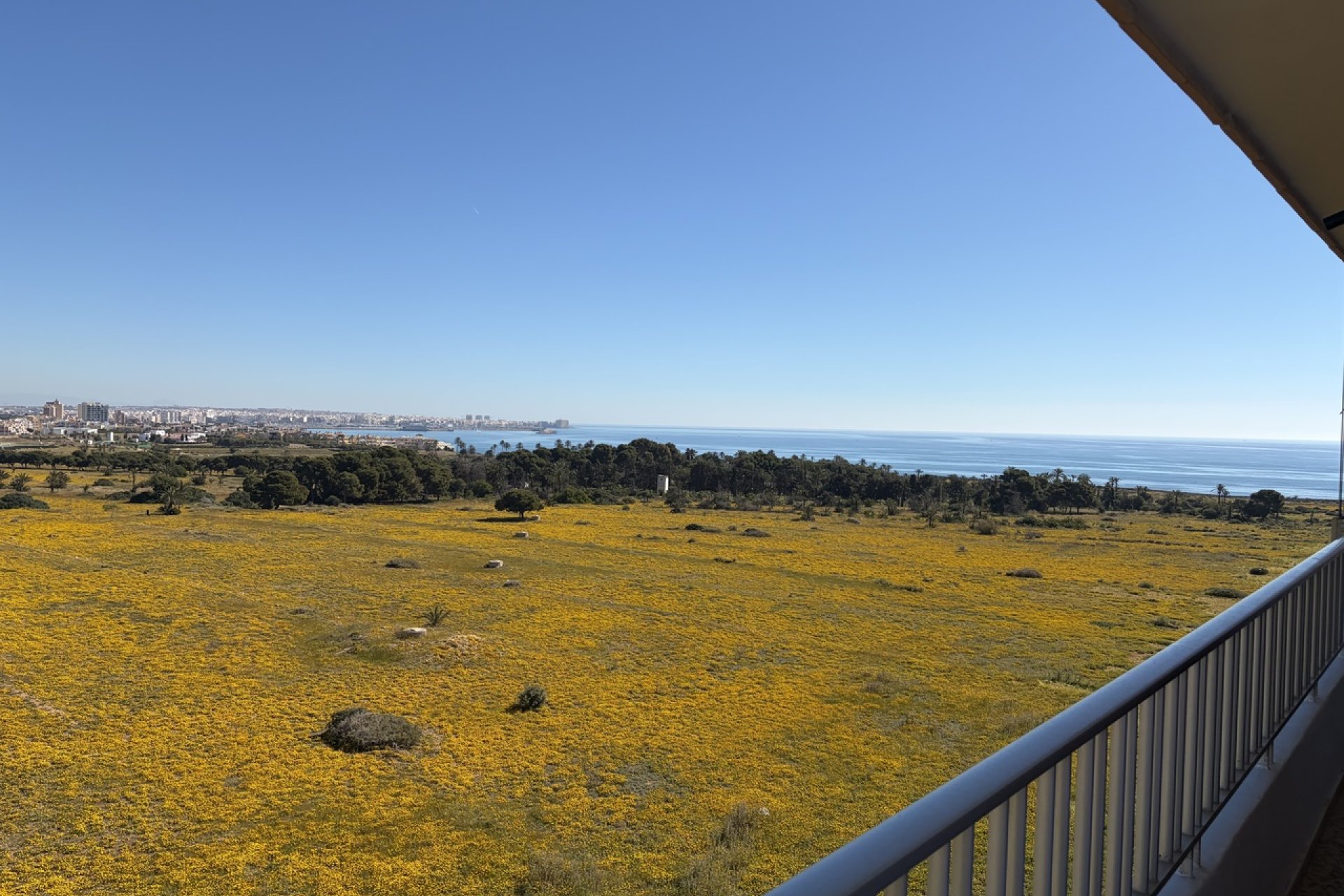 Resale - Penthouse -
Torrevieja - Punta Prima
