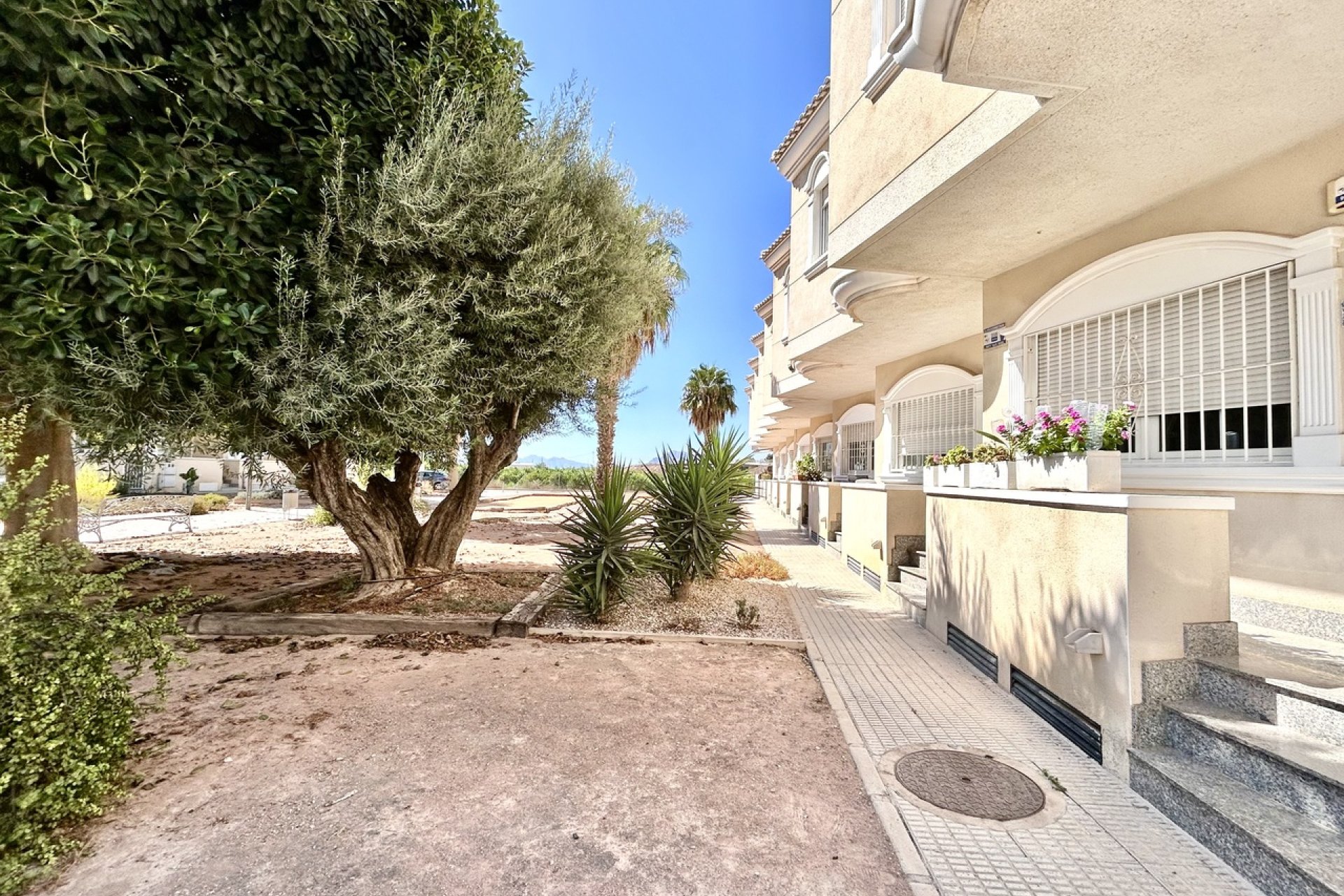 Reventa - Adosado -
Formentera del Segura