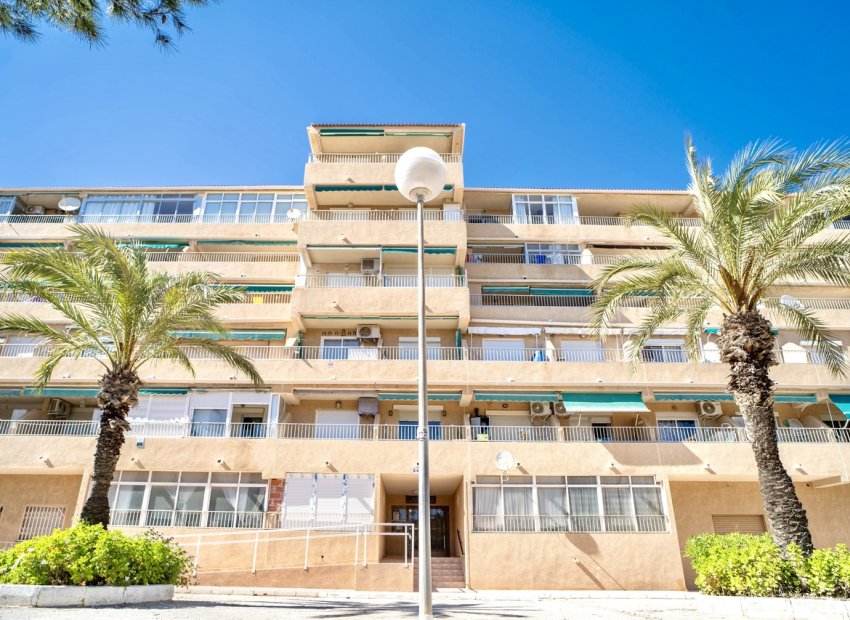 Reventa - Apartamento / piso -
Guardamar del Segura - Guardamar Del Segura