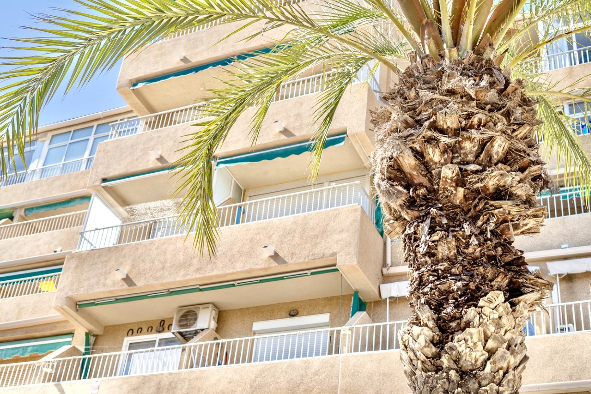 Reventa - Apartamento / piso -
Guardamar del Segura - Guardamar Del Segura